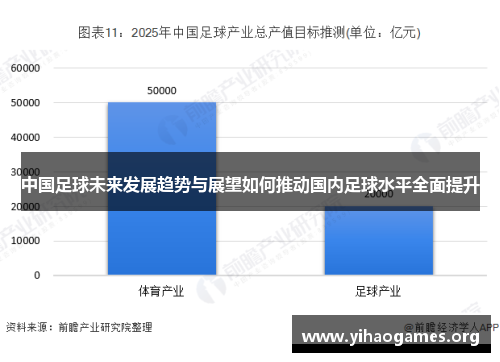 中国足球未来发展趋势与展望如何推动国内足球水平全面提升
