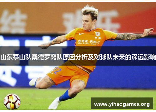 山东泰山队桑德罗离队原因分析及对球队未来的深远影响