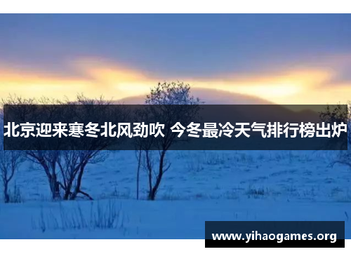 北京迎来寒冬北风劲吹 今冬最冷天气排行榜出炉