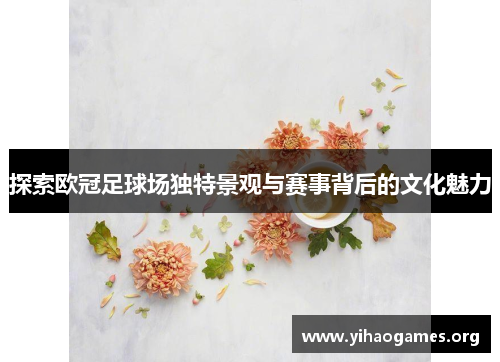 探索欧冠足球场独特景观与赛事背后的文化魅力