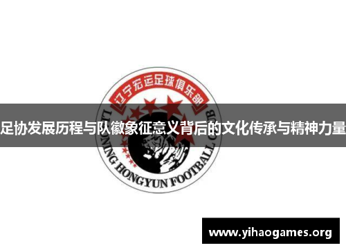 足协发展历程与队徽象征意义背后的文化传承与精神力量