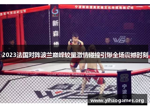 2023法国对阵波兰巅峰较量激情碰撞引爆全场震撼时刻