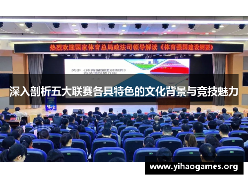 深入剖析五大联赛各具特色的文化背景与竞技魅力 深入剖析五大联赛各具特色的文化背景与竞技魅力